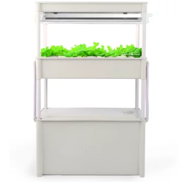 ชุดปลูกผักไฮโดรโปนิกส์-ชุดเล็กจริงจัง