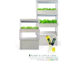 ชุดปลูกผัก